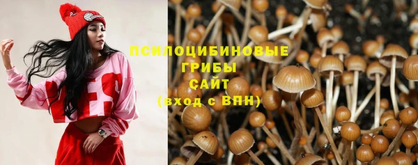 гидропоника Заволжск