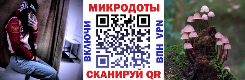 Псилоцибиновые грибы мухоморы  darknet как зайти  Туапсе  купить наркотик 